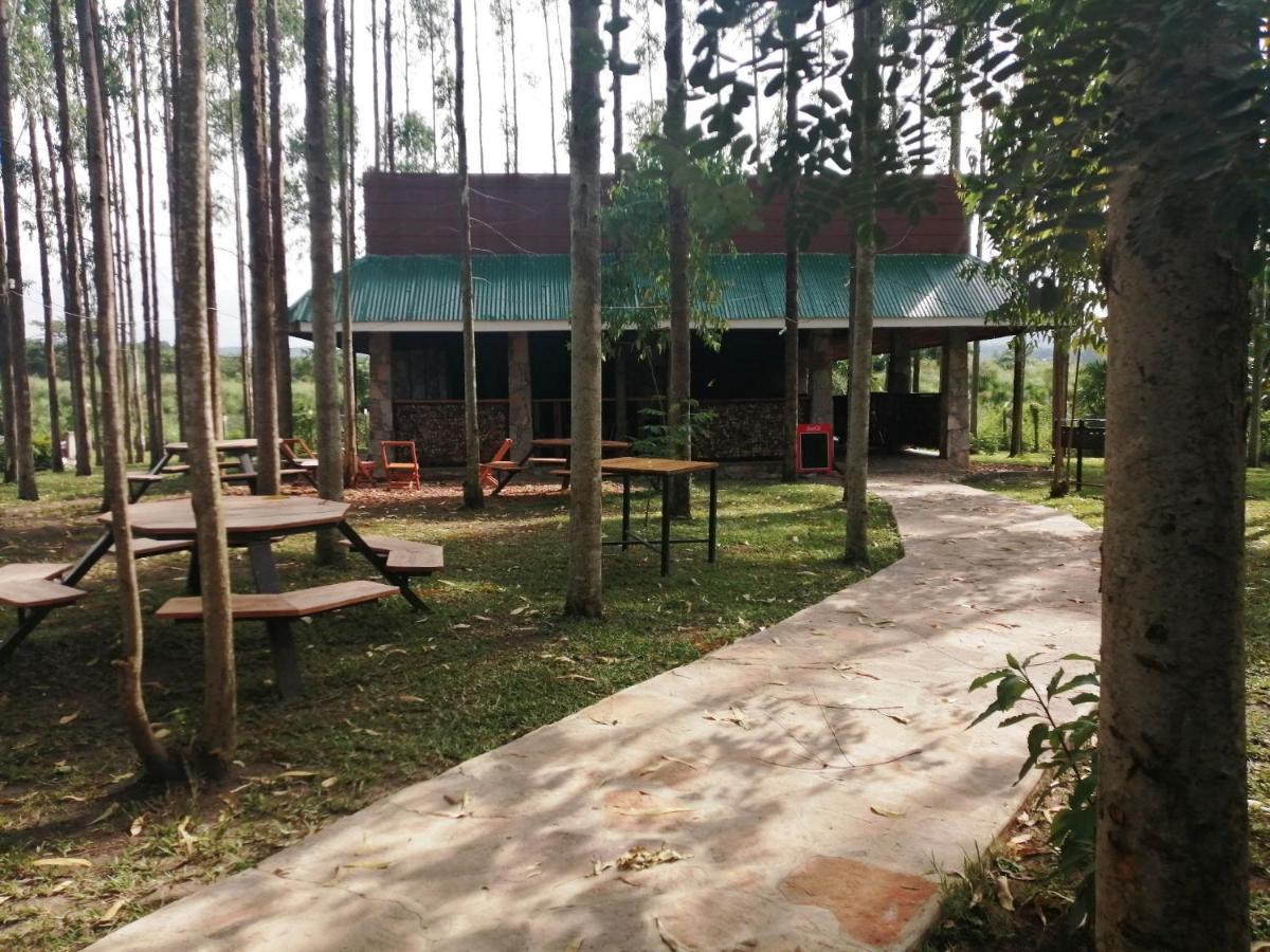 Murchison Backpackers Masindi Exterior foto