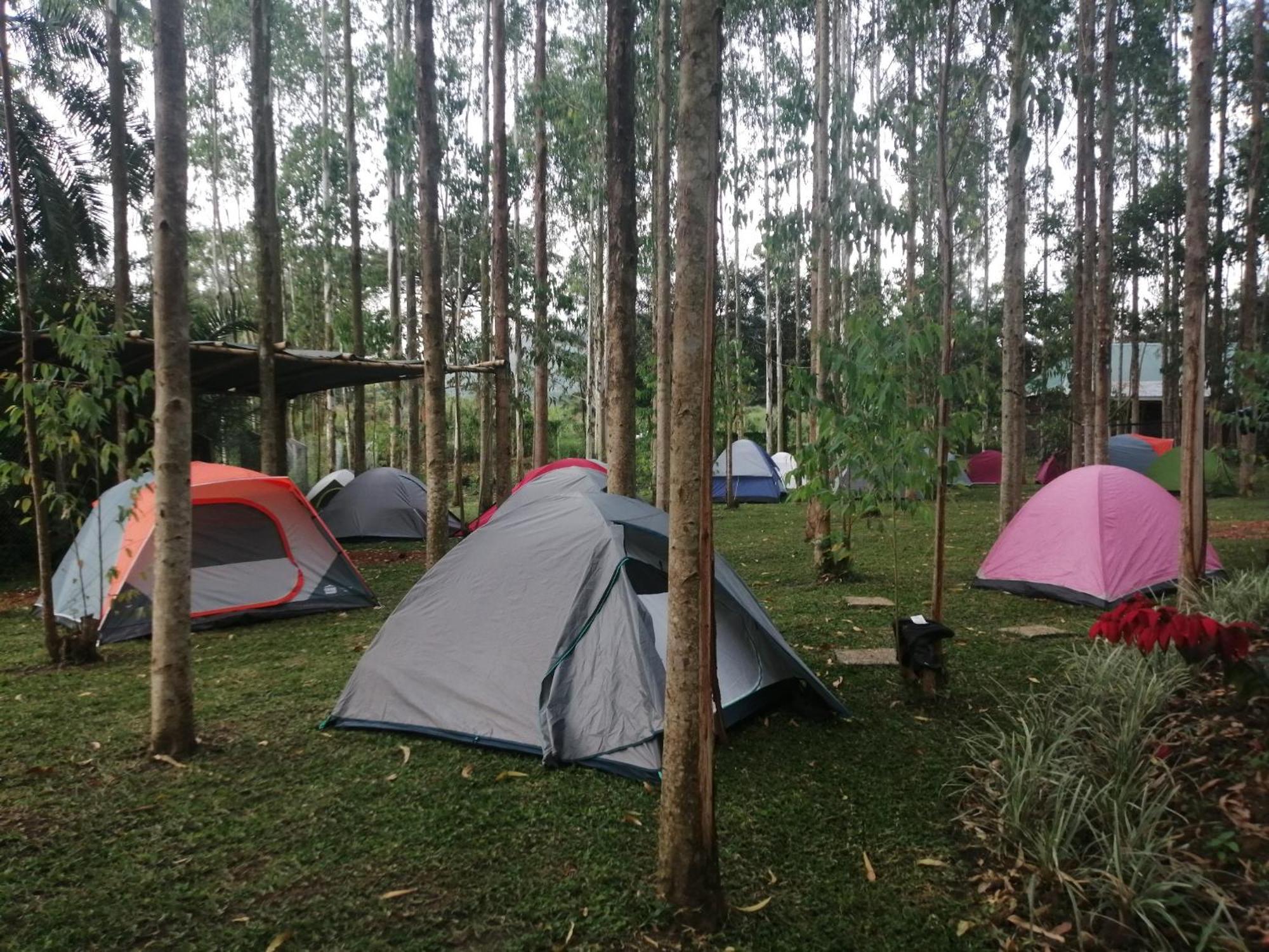 Murchison Backpackers Masindi Exterior foto